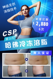 CSP 第三代哈佛冷冻溶脂